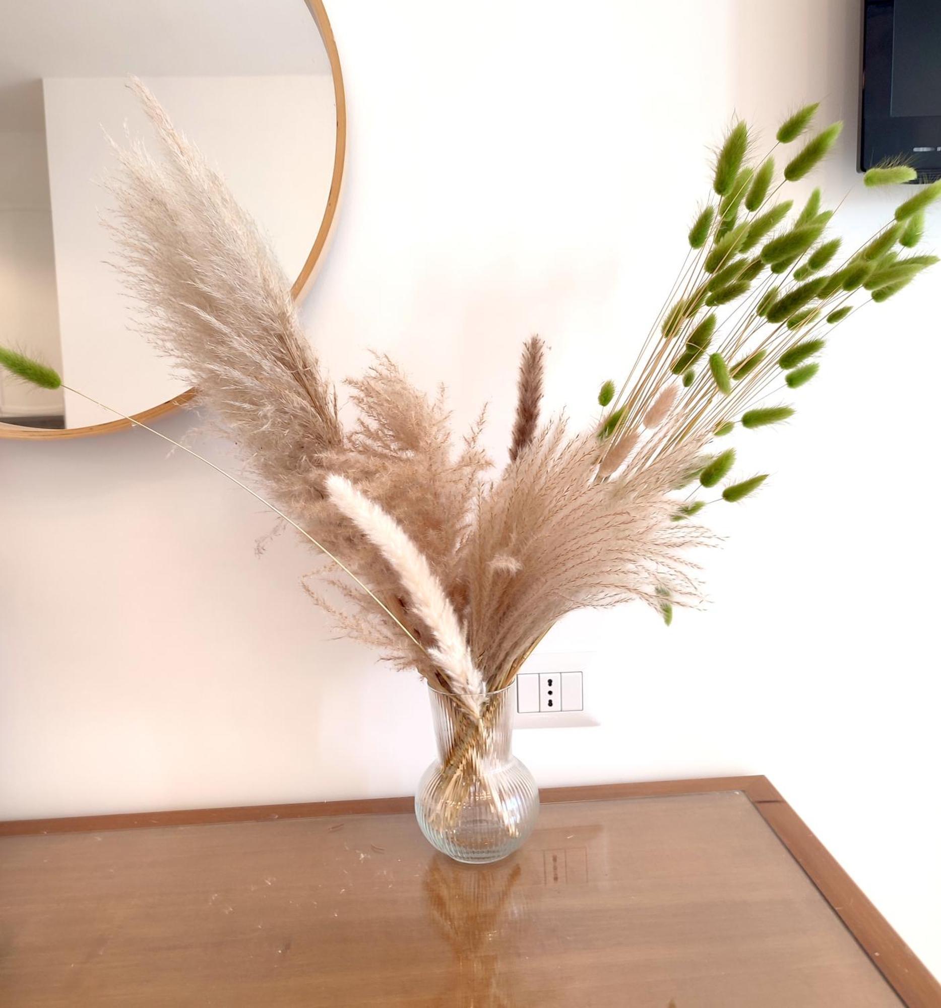 Green Nest Ρώμη Εξωτερικό φωτογραφία